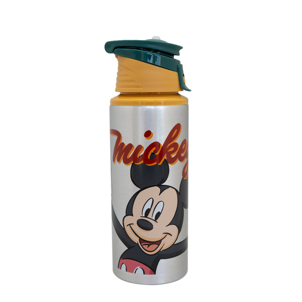 
                  
                    BOTELLA METALICA LICENCIAS
                  
                