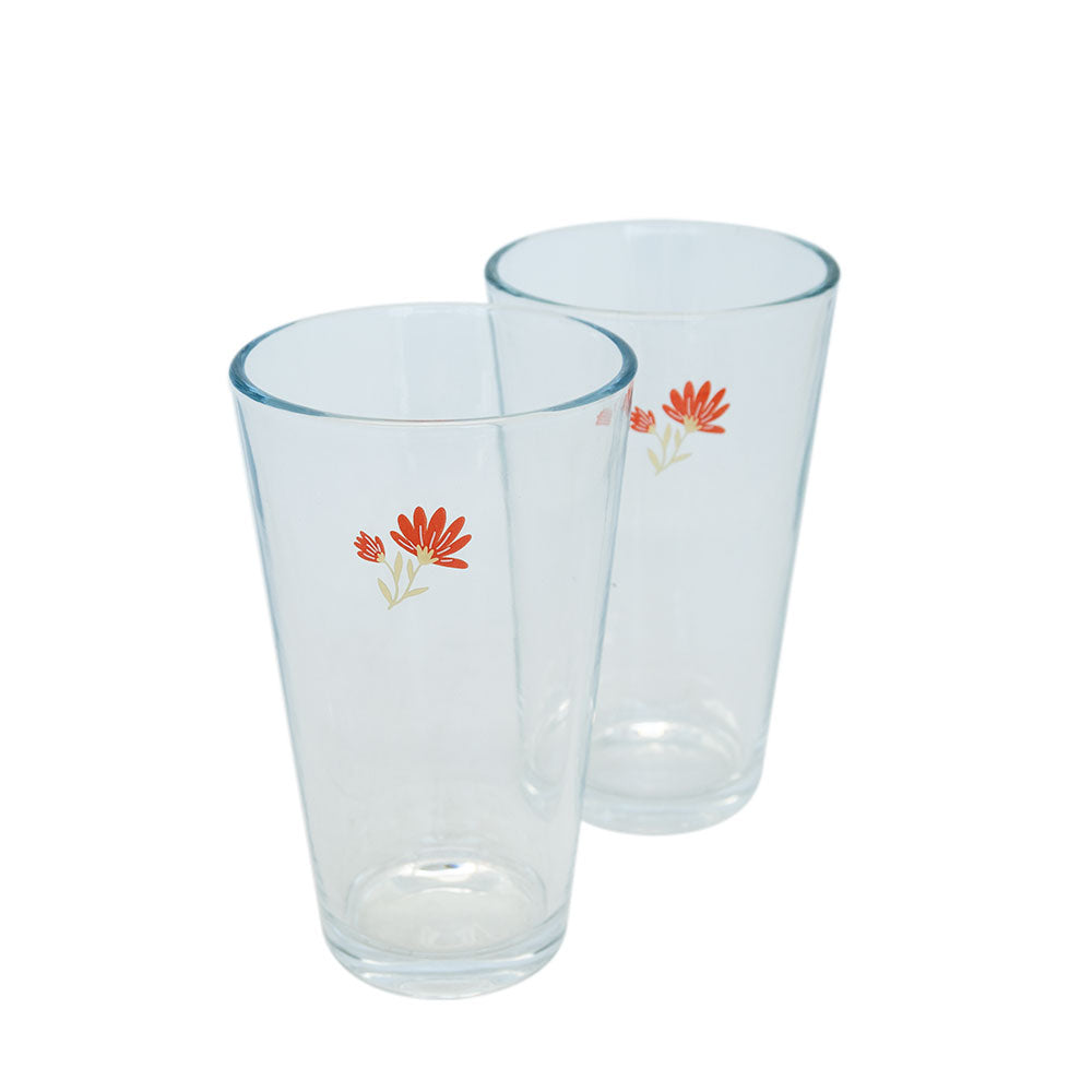 
                  
                    SET 2 VASOS VIDRIO BOTANIC
                  
                
