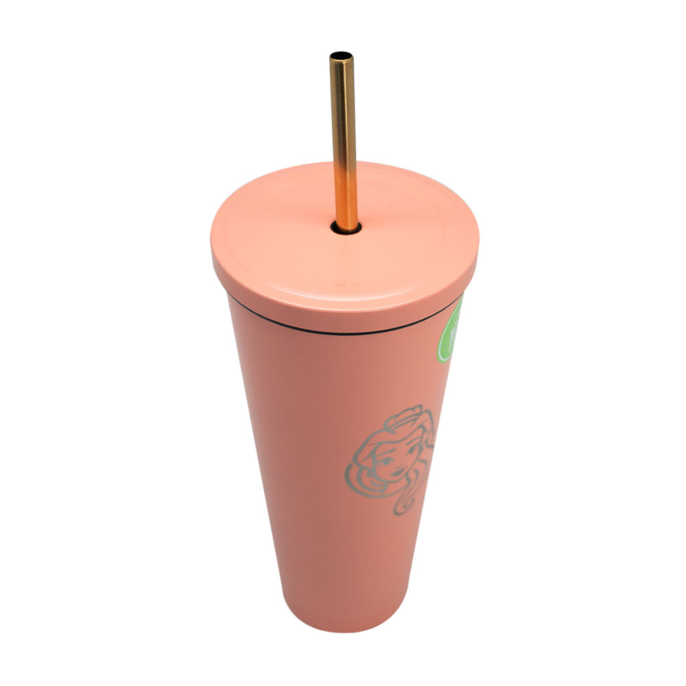 
                  
                    VASO TUMBLER ACERO INOXIDABLE 700ML PRINCESAS
                  
                