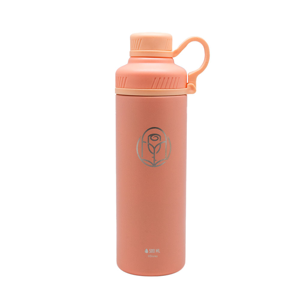 
                  
                    SHAKER METALICO 500ML ACERO INOXIDABLE PRINCESAS
                  
                