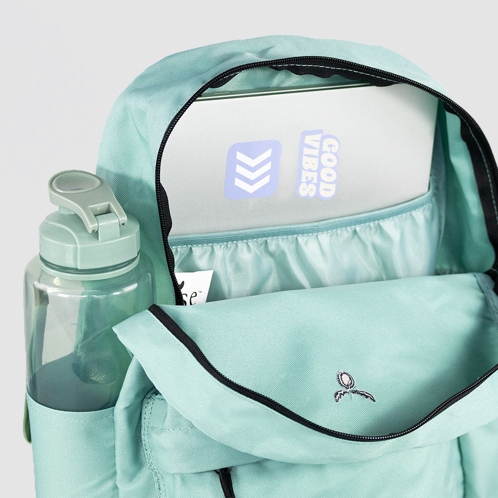 
                  
                    PACK BOSTON GREEN MOOSE
                  
                