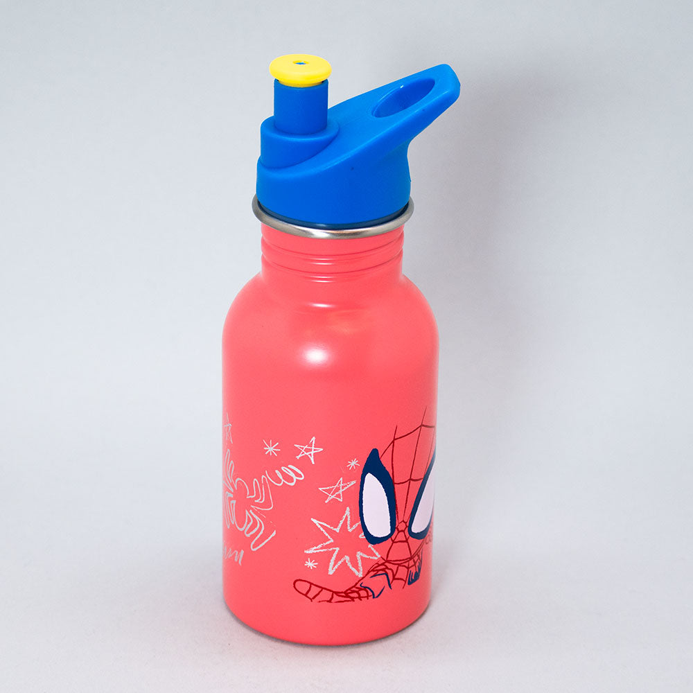
                  
                    BOTELLA METALICA SPIDERMAN K PELICULA
                  
                