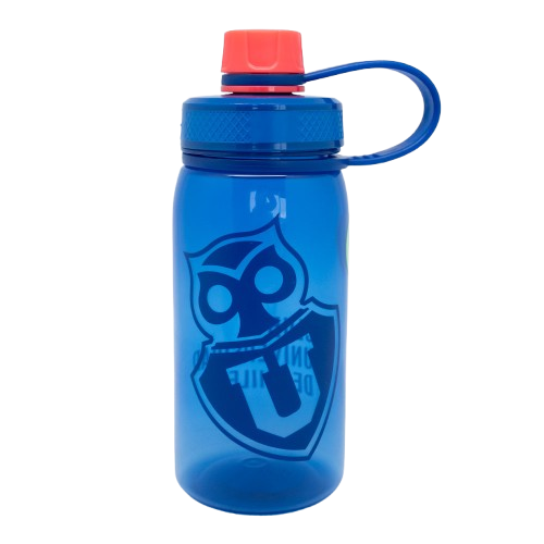
                  
                    BOTELLA 700ML U DE CHILE
                  
                