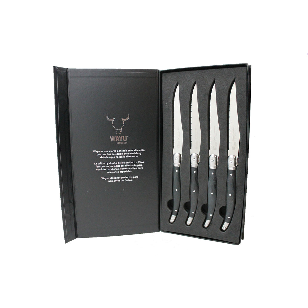 
                  
                    SET 4 CUCHILLOS BLACK  MESA WAYU LIMITED
                  
                