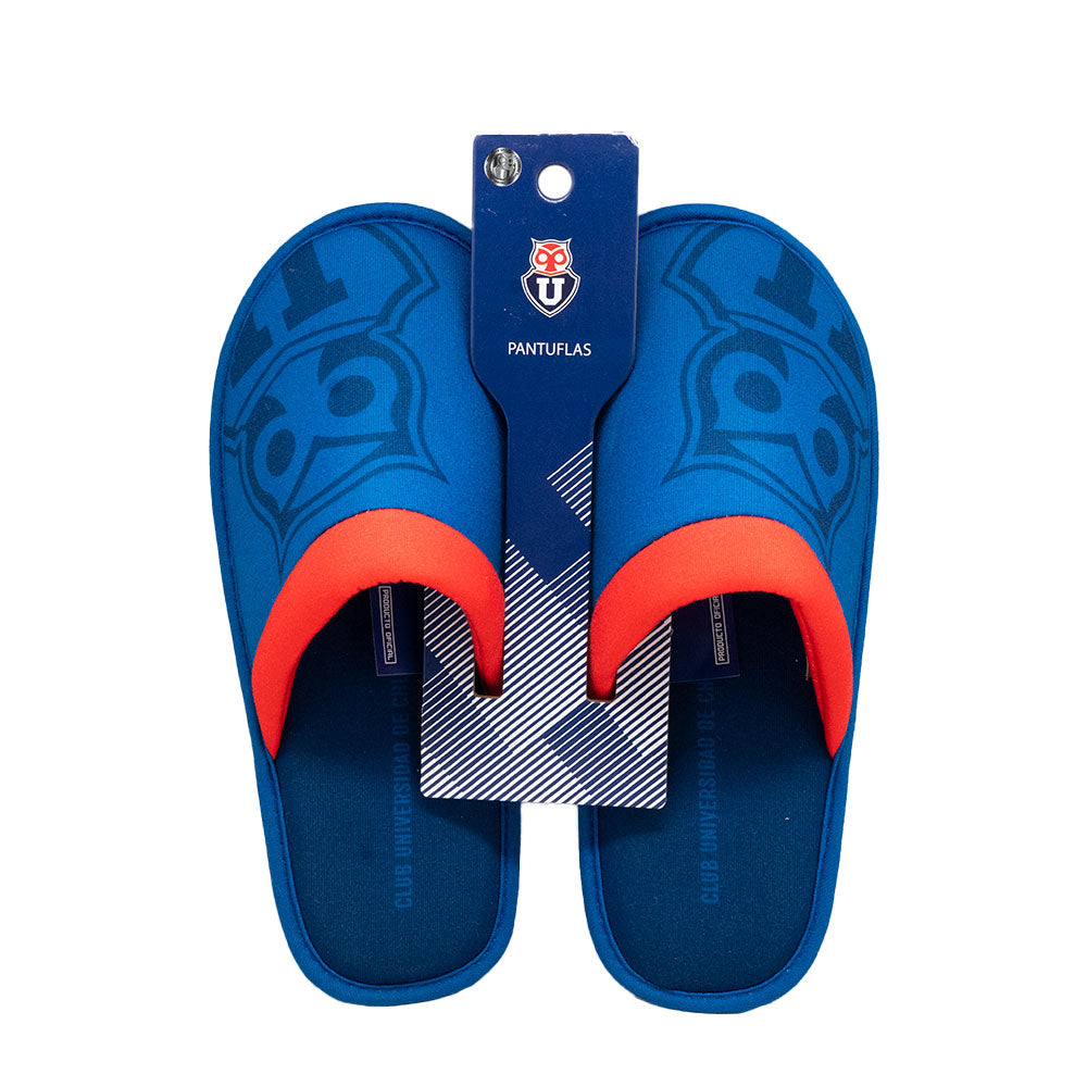 
                  
                    PANTUFLA S U DE CHILE
                  
                