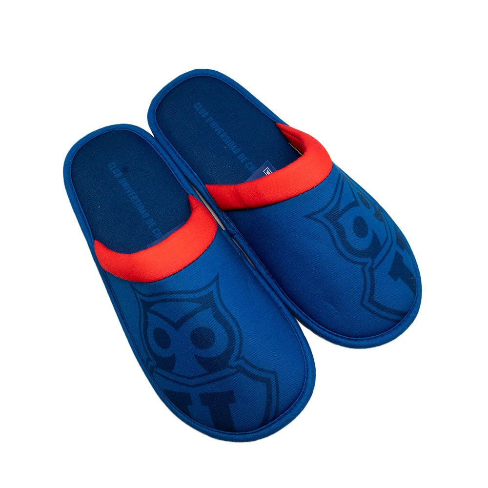 
                  
                    PANTUFLA S U DE CHILE
                  
                