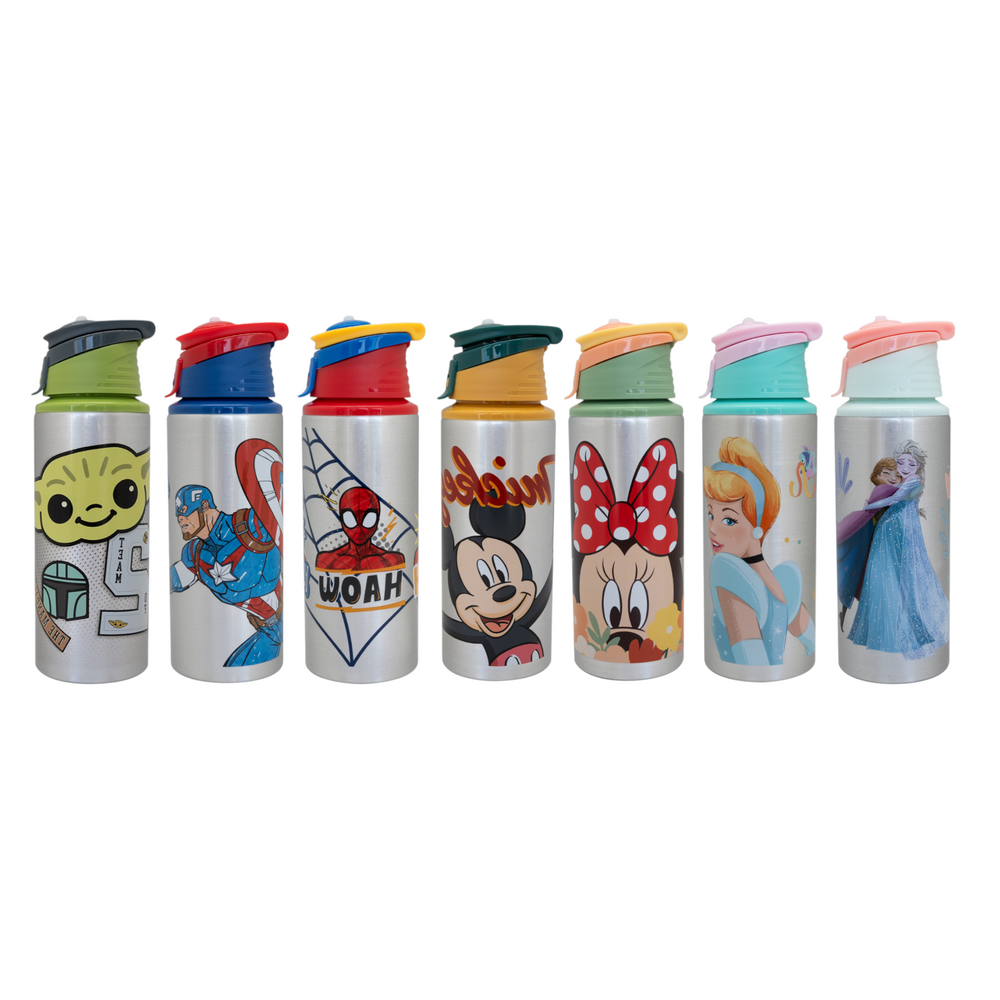 BOTELLA METALICA LICENCIAS